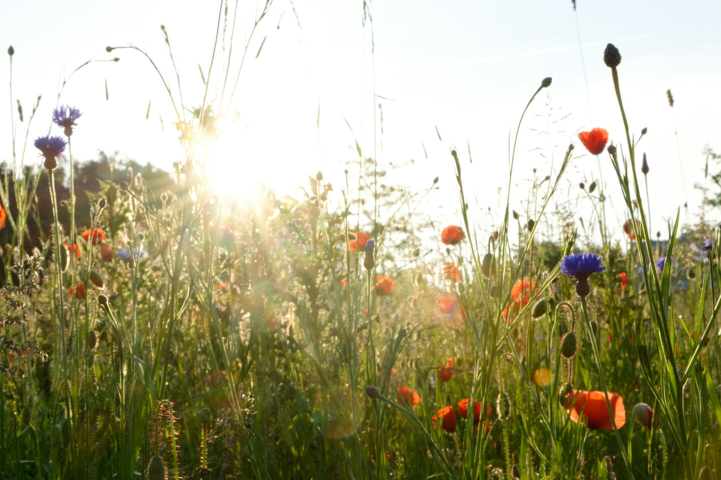 Video 6 • Own your magnificence